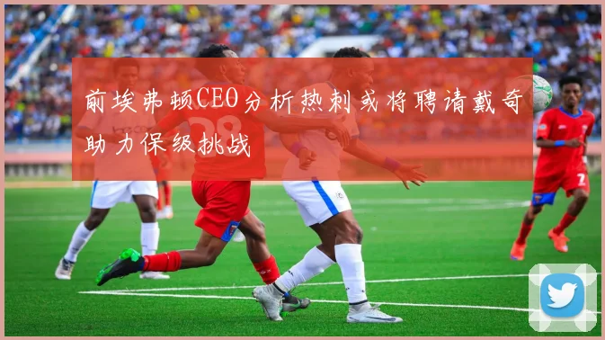 前埃弗顿CEO分析热刺或将聘请戴奇助力保级挑战
